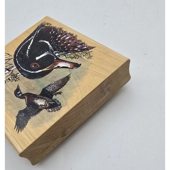 STAMPA ROSA RUBBER STAMP Ducks 300-41 Wood Duck New Michaelsen 1999 - Picture 10 of 11